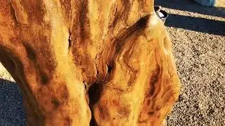 Felsen aus Matrix Tigerauge