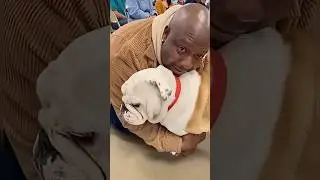A story where humans get adopted by dogs(part2) #dogshorts #adoptme #emotional #viralvideo #shorts