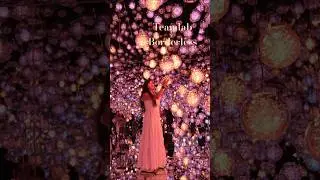 ✨teamLab Borderless: MORI Building DIGITAL ART MUSEUM #japan #japantravel #tokyo #teamlabborderless
