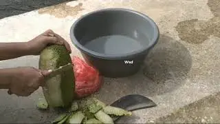 Membuka Kulit Nangka