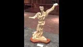 Video Novara