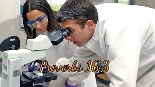 Proverbs Chapter 16:3 KJV