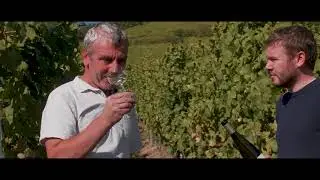 Allimant-Laugner, Vins et Crémants d'Alsace à Orschwiller
