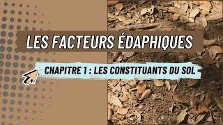 Composition du sol – Facteurs édaphiques | SVT Tronc Commun Scientifique Maroc