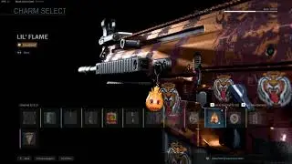 Call of Duty  Modern Warfare Tigers Eye