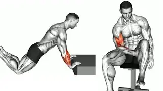 Entra&icirc;nement complet des bras ! D&eacute;veloppez des bras PLUS GROS au poids de corps