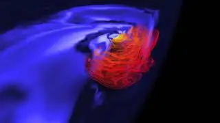 Composition and density evolution in neutron star mergers