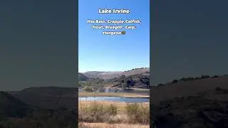 SolCal Trout Fishing ( Lake Irvine) #shorts #thecsickfisherman #fishing