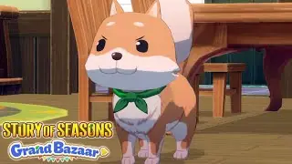 Pet dog! - Story of Seasons Grand Bazaar