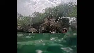 Xel-Ha cliff jumping-Mexico