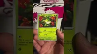 Black Bolt keeps the 🔥 rolling #pokemon #pokemoncards #rippingpacks #tcg #dogluck #victinihunt #IR