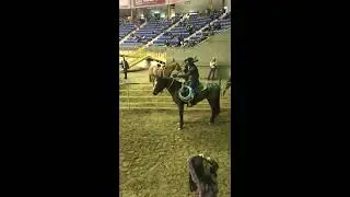Denver Co. Colt starting challenge final ride