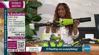 Sun Joe 24Volt Telescopic 2in1 Handheld and Pole Blower