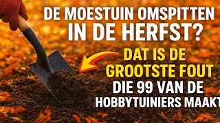 De moestuin omspitten in de herfst? Dat is de GROOTSTE FOUT die 99% van de hobbytuiniers maakt!