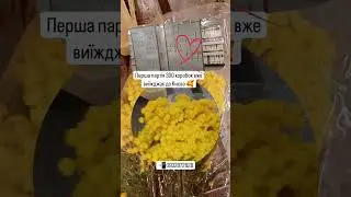 Очікуємо великі постачання квітів вже цього тижня та початок наступного