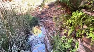 Heading to the top, Fortescue Falls, Dales Gorge Trail, Karijini, Pilbara, WA, Australia