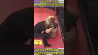 Knocked TPF 15 - Alex Perez vs Carlos DeSoto #shorts #mma #knocked