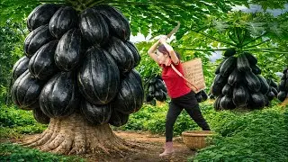 Harvesting Rare Dark Papayas, Spicy Salad With A Variety Of Flavors | Countryside Dish