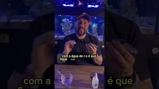 Como Calibrar o Seu Refrat&ocirc;metro?