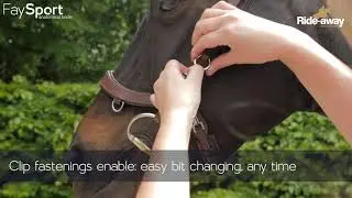 Learn about the ergonomic PresTeq FaySport Bridle