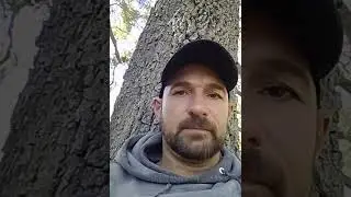 Quitting chewing tobacco, made easy!!!
