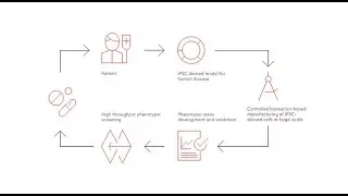 Integrated drug discovery platform