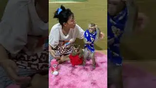 Loving Care for Baby Monkey | Sweet Monkey Bonding Moments 🐒💕