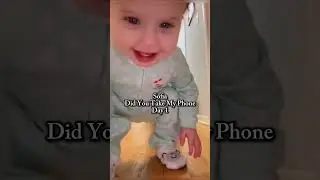 Sofi Did you Get my Phone?