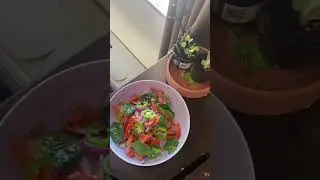 🌿 Vibrant & Healthy Salad Bowl | Quick & Fresh Recipe 🥗✨ #salad #healthyfood #saladrecipe #food