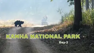 First ever sighting of Sloth Bear 🐻| Kanha National Park|Kisli Zone Day 3