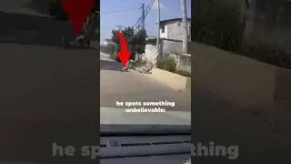 Hero Cat Saves Baby From Traffic! 🐱❤️