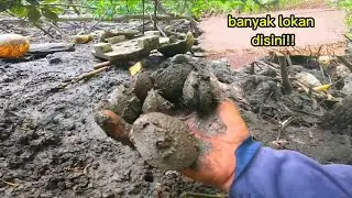 BANYAK CABARAN DI PORT NI⁉️CARI LOKAN PAYA BAKAU..
