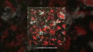 Demibby - EERIE Multi-Kit (Sample Pack)