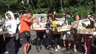 Pelepasliaran Burung Jalak Kerbau Ke Hutan Gunung Merapi