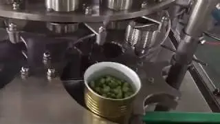 Rotary tin can filling machine, canning machine for string bean, horse bean, soybean, sweet corn