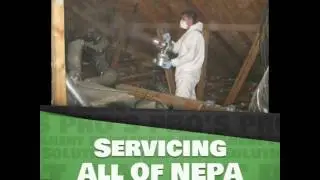 PA BAT REMOVAL PRO'S