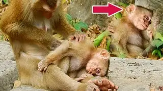 Pi/ty mUm!Libby much sad when she saw her baby in this condition, she can not know how to solve