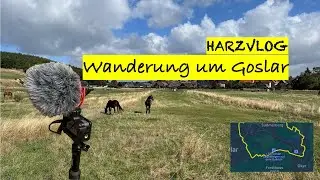 Wanderung um Goslar (2022)