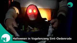 Halloween in wijk Vogelenzang Sint-Oedenrode 2025 I Omroep Meierij