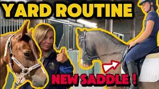 YARD ROUTINE | NEW SADDLE !!!