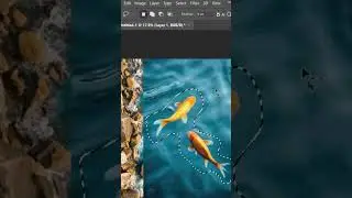 Turn Fishes into Water Magic! Photoshop Blend Tutorial 💧
