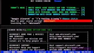 Google Remakes - BBS Terminal