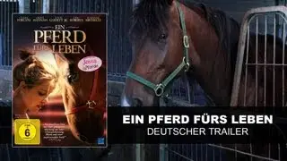 Ein Pferd fürs Leben (Deutscher Trailer) || KSM