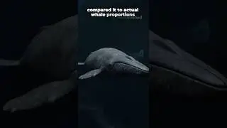 Was This the Heaviest Animal to Ever Exist? #history #prehistoric #shorts