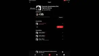 Character Assasination (The Vigilantes Remix) [ft K1] - Cannon Ball Taylor
