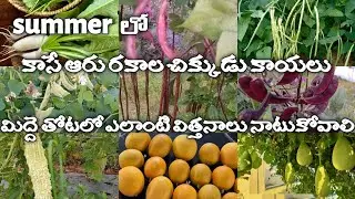 జూన్ లో నాటుకోవలసిన విత్తనాలు quality seeds from Hasa farm link available in description