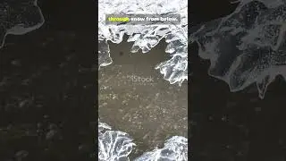 &laquo;Стеновой демон&raquo; Европы: Паук в глубоком космосе