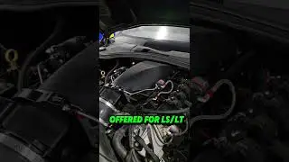Titan intakes are available for LS, LT, and Godzilla applications 🫡