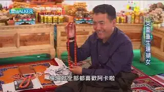 綺麗珊瑚 2019壹Walker 專題節目