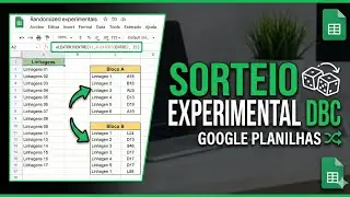 Sorteio Experimental (DBC) no Google Planilhas
